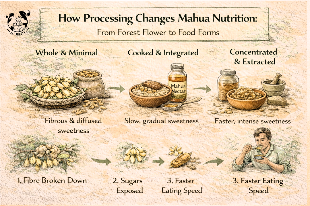 How Processing Changes Mahua Nutrition: From Forest Flower to Food Forms