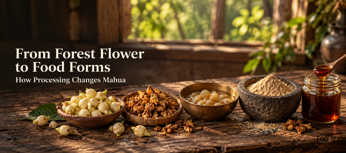 How Processing Changes Mahua Nutrition: From Forest Flower to Food Forms