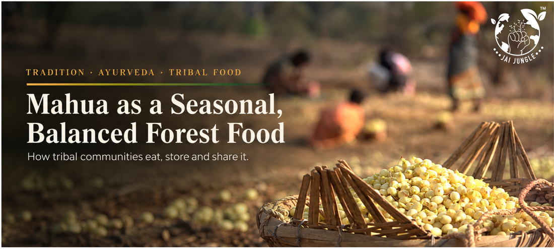 Mahua in Ayurveda and Tribal Food Systems: A Seasonal, Balanced Forest Food