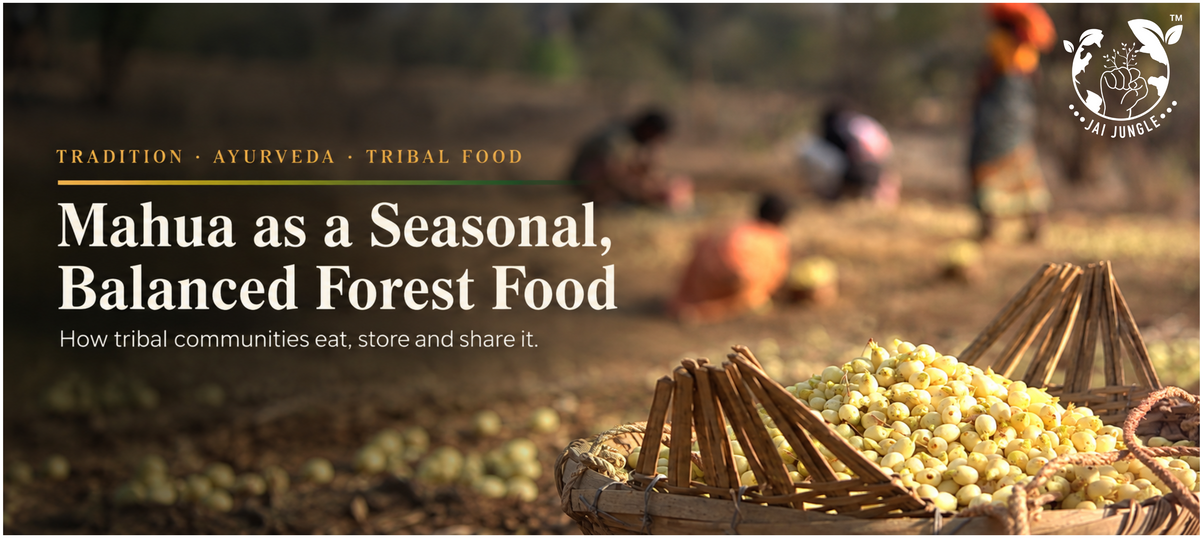 Mahua in Ayurveda and Tribal Food Systems: A Seasonal, Balanced Forest Food