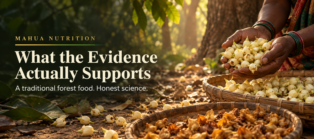 Mahua Nutrition & Health Benefits | Traditional Forest Superfood