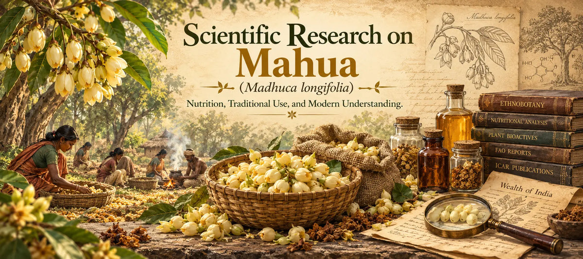 Scientific Research on Mahua (Madhuca longifolia): Nutrition, Traditional Food Use, and Modern Understanding