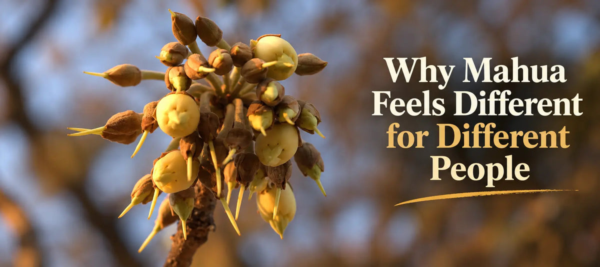 Why Mahua Feels Different for Different People
