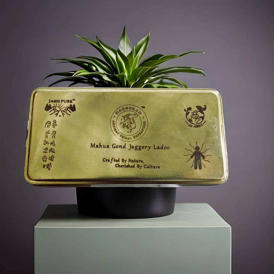Mahua Gond Desi Ghee Ladoo