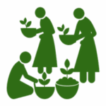 jai jungle timeline (6)