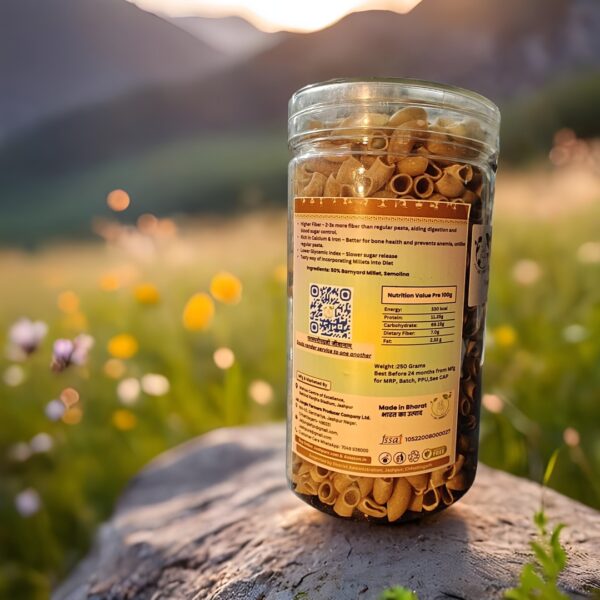 Barnyard Millet Pasta 50% back packaging jar placed on a rock in a meadow.