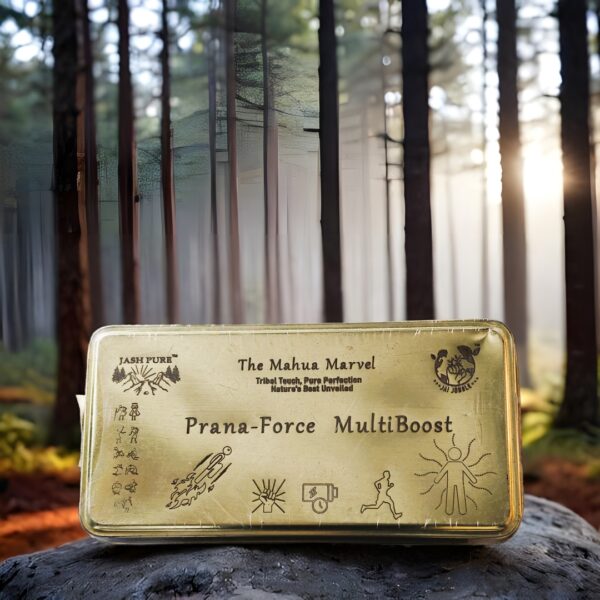 Prana Force Multiboost – Mahua & Herb Energy Bites in Sustainable Golden Tin by Jashpure