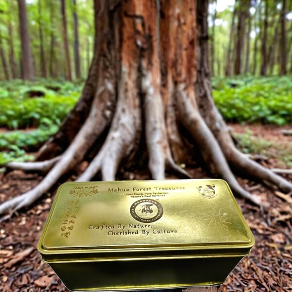 Mahua Forest Treasures premium tin gift box placed near a large forest tree – tribal handcrafted superfood sampler pack