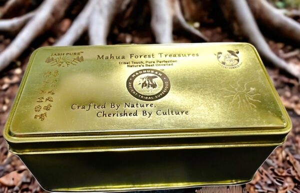 Mahua Forest Treasures premium tin gift box placed near tree trunk – tribal handcrafted superfood sampler pack