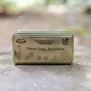 Prana Force Multiboost – Mahua & Herb Energy Bites in Sustainable Golden Tin by Jashpure