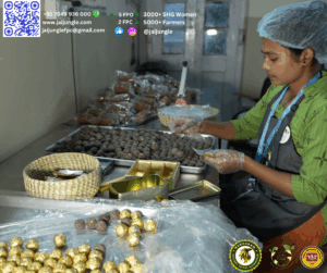 A tribal woman from Jai Jungle SHG in Jashpur packaging Mahua laddoos and cookies, showcasing non-alcoholic Mahua innovations like sweets and healthy snacks.