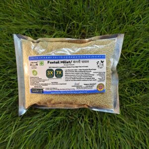 Pack of Foxtail Millet (Kangni, Thinai, Korra) from Jai Jungle placed on fresh green grass background