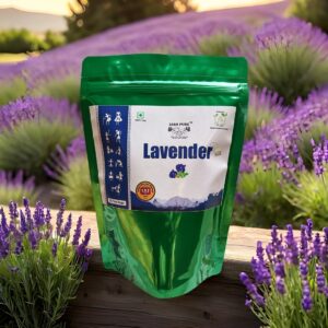 Lavender Tea Bags – Jai Jungle Herbal Infusion, Front Packaging