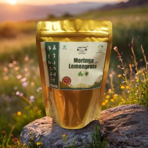 Moringa Lemongrass Tea Bags – Jai Jungle Herbal Infusion Blend, Front Packaging