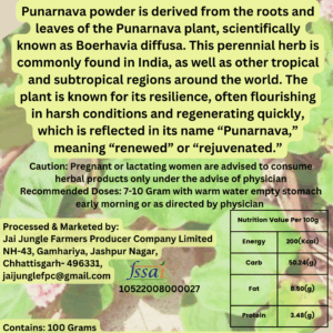 Jai Jungle Punarnava Powder 100g – shade-dried herbal powder sourced from Jashpur’s tribal regions