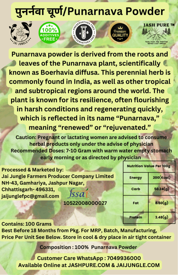 Jai Jungle Punarnava Powder 100g – shade-dried herbal powder sourced from Jashpur’s tribal regions