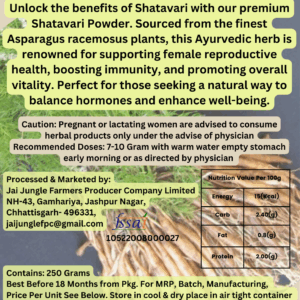 Jai Jungle Shatavari Powder 250g – herbal root powder from Jashpur’s tribal regions