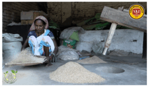 Tribal woman cleaning Javaphool rice by hand with traditional wooden Dheki pounding in the background – Jai Jungle women-led processing.