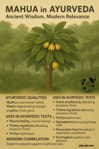 Mahua tree in a forest setting with Ayurvedic descriptions of its qualities and medicinal uses, showing how Mahua connects ancient Ayurvedic wisdom with modern scientific relevance.