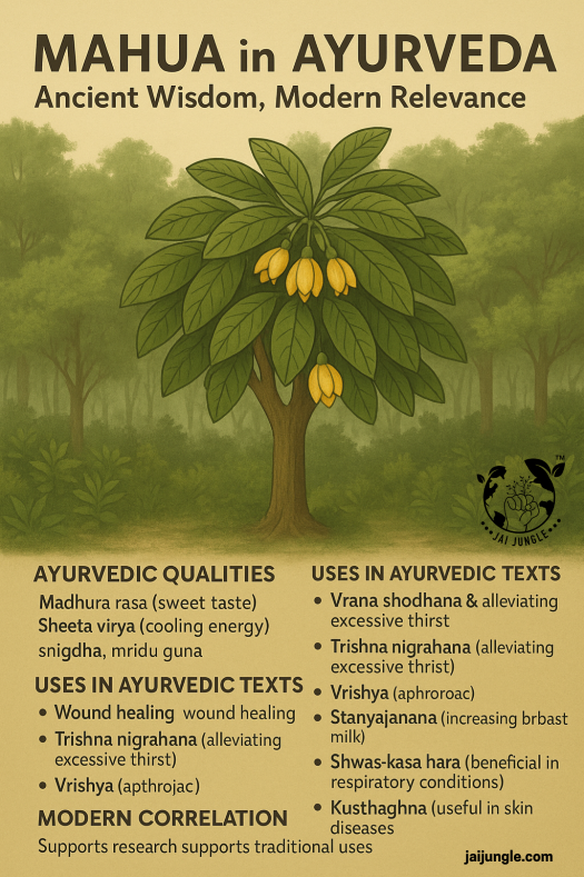 Mahua tree in a forest setting with Ayurvedic descriptions of its qualities and medicinal uses, showing how Mahua connects ancient Ayurvedic wisdom with modern scientific relevance.