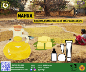 A tribal woman dries Mahua seeds under a large tree, with illustrations of oil, butter, and cosmetic products showing Mahua seed oil and butter uses.