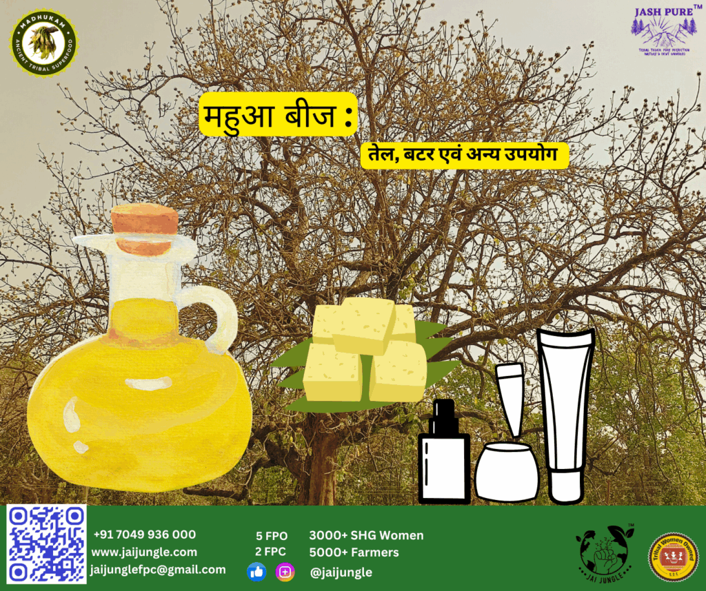 महुआ का पेड़ और बीजों से बनने वाला तेल, बटर और कॉस्मेटिक उत्पादों का चित्रण।