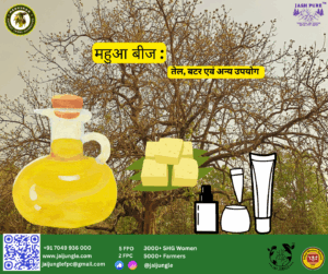 महुआ का पेड़ और बीजों से बनने वाला तेल, बटर और कॉस्मेटिक उत्पादों का चित्रण।