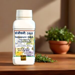 Sanjeevni D&B natural digestive and detox support supplement made from Mahogany seeds, helps maintain digestive enzyme balance and metabolism, 100% vegetarian, preservative-free, by Vedic Vatica